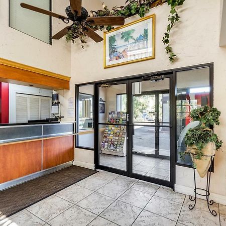 Econo Lodge Palm Harbor - Clearwater Eksteriør billede