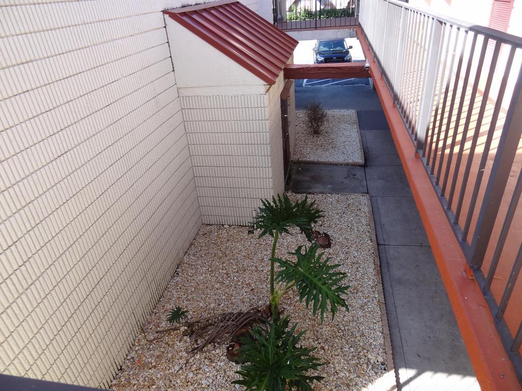 Econo Lodge Palm Harbor - Clearwater Eksteriør billede